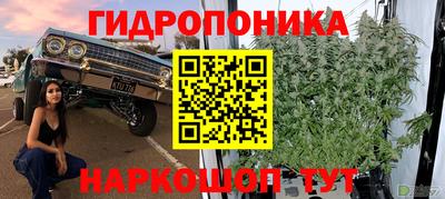 марихуана Усть-Джегута