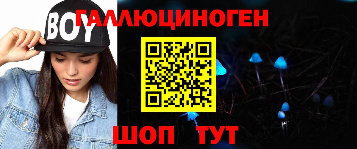 Галлюциногенные грибы Psilocybe  Вход с VPN  Йошкар-Ола 